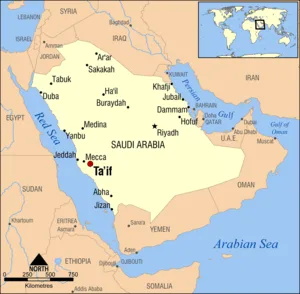 Lessons from the Journey of Taif
